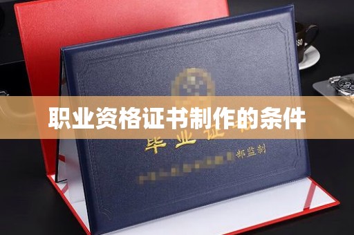 宾阳职业资格证书制作的条件